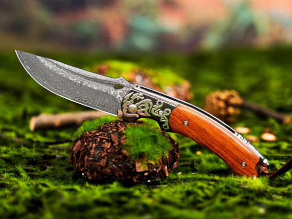 LOTHAR RHAEGAL Damast Klappmesser, Hochwertig Taschenmesser Outdoor aus 67 Lagen VG10 Damaststahl, Premium Damast Taschenmesser mit Holzgriff für Jagd, Ideal als Sammlung & Geschenk (Rosenholz)